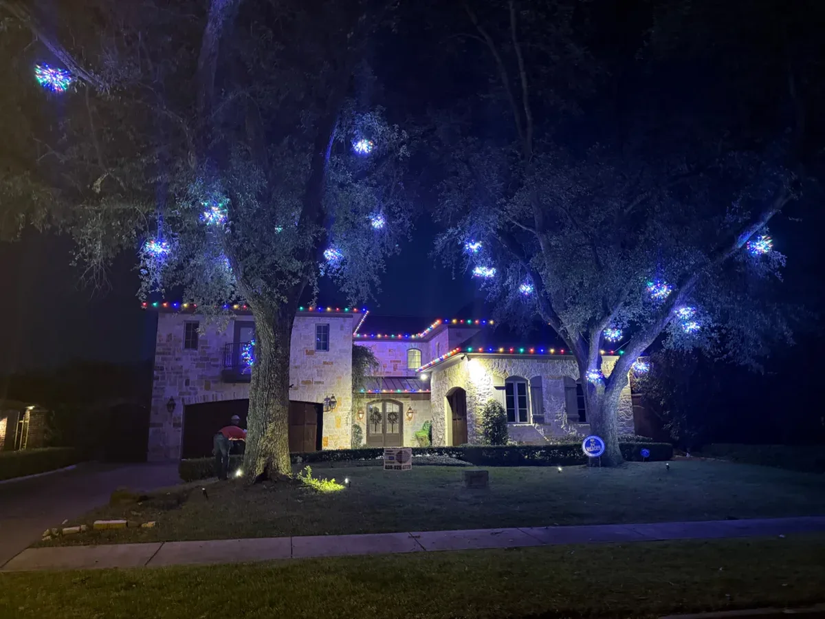 Blue-white Christmas lights wrapped through tree branches above a decorated home